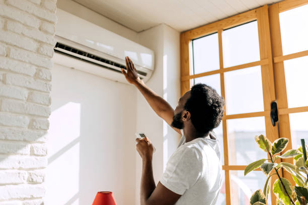 Best Ductless Mini-Split Systems in Volcano Golf Course, HI